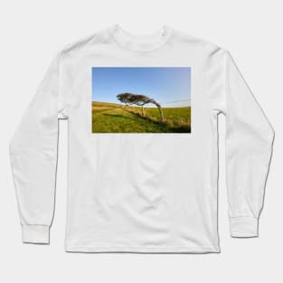 Windswept Tree Long Sleeve T-Shirt